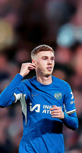 阿邦拉霍谈帕尔默转会传闻：建议留队苦练重寻巅峰